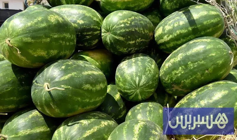 مزارعو "الدلاح" يشتكون قرارا عامليا