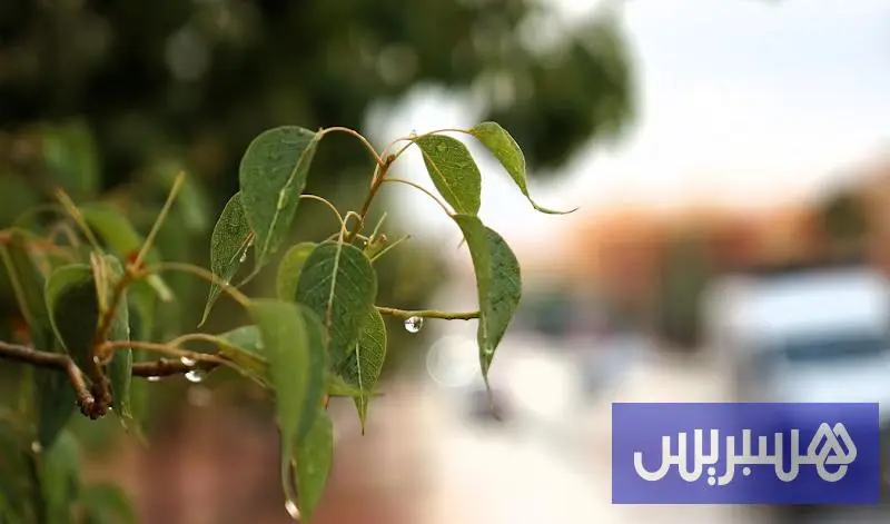 زخات رعدية مرتقبة بستة أقاليم مغربية