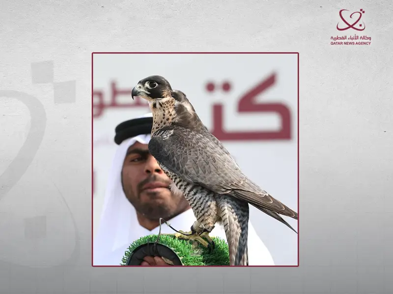 جمعية القناص القطرية: بدء التسجيل في بطولة كتارا للصقور والصيد 2 ديسمبر المقبل