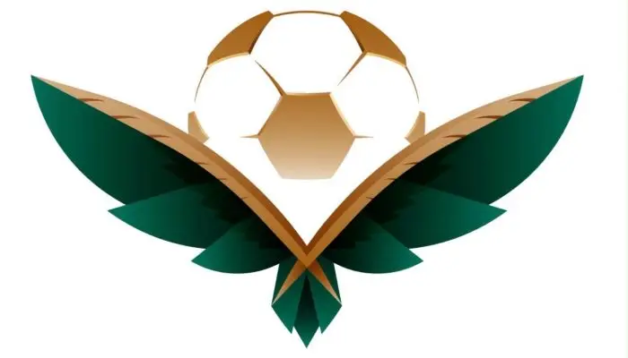 اللجنة المحلية المنظمة تؤكد استمرار الاستعدادات لكأس آسيا السعودية 2027