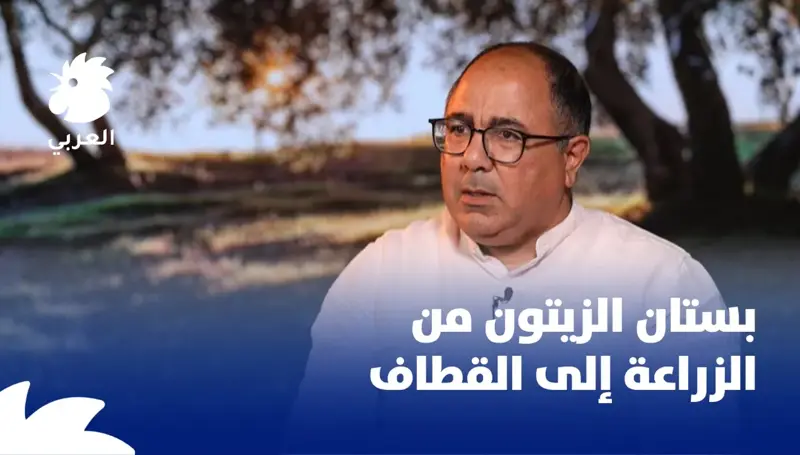 بستان الزيتون من الزراعة إلى القطاف: إرشادات ونصائح من مارك بيروتي