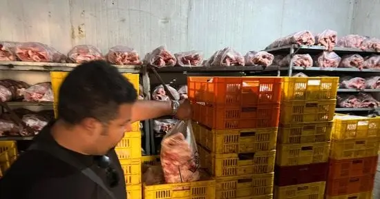 ضبط 13 طن لحوم غير صالحة للاستهلاك ومذبوحة خارج المجازر الحكومية بالجيزة