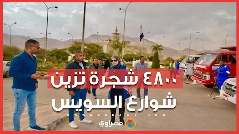 المسطحات الخضراء تزين السويس.. وصول 4800 شجرة بونسيانا وجاكراندا لتشجي