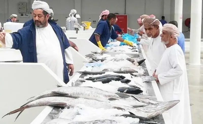 استمرار انخفاض أسعار الأسماك في أسواق المحافظات
