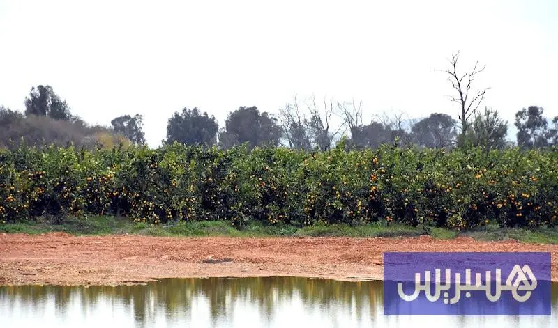 زخات رعدية قوية مرتقبة في 6 أقاليم
