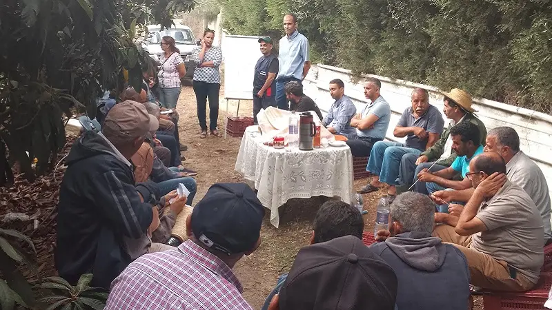 بني خلاد: دواء بيولوجي لمقاومة ذبابة القوارص