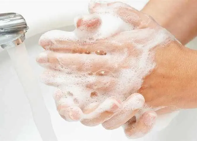 في اليوم العالمي لغسل اليدين.. إليك الطريقة الصحيحة لتنظيف اليد من الجراثيم
