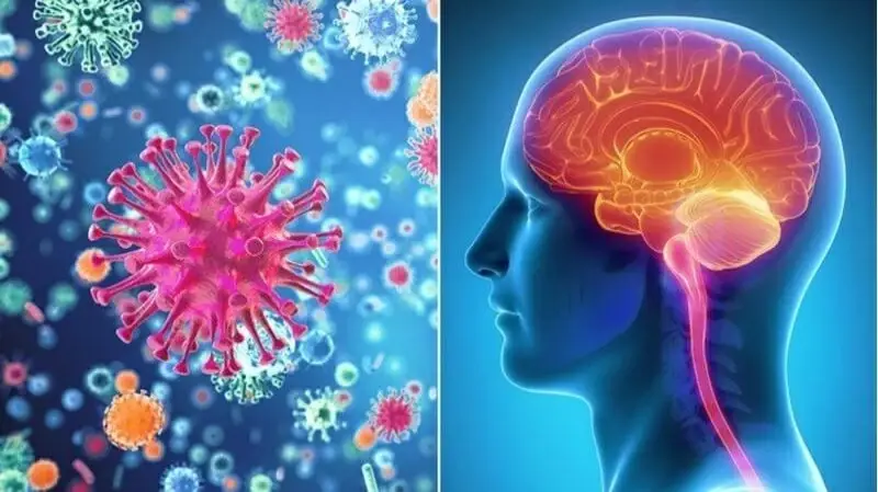 مرض خطير يهدد المخ.. 7 إجراءات للوقاية تبدأ بالتطعيم