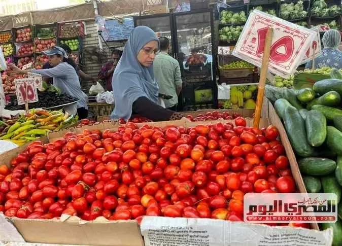 الطماطم بـ 17.5 جنيها.. أسعار الخضار والفاكهة في أسواق الشرقية اليوم الجمعة 16 أكتوبر 2026