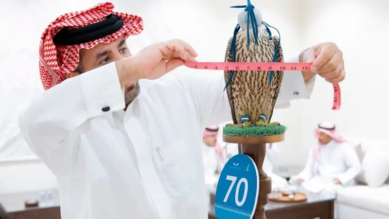 قاعد ساير العنزي وشقيقه يبيعان شاهين فرخ بـ111 ألف ريال في مزاد الصقور
