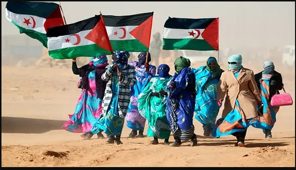 قرار أممي ينسف دعاية الرباط ويجدد التمسك بحق الصحراويين في تقرير المصير