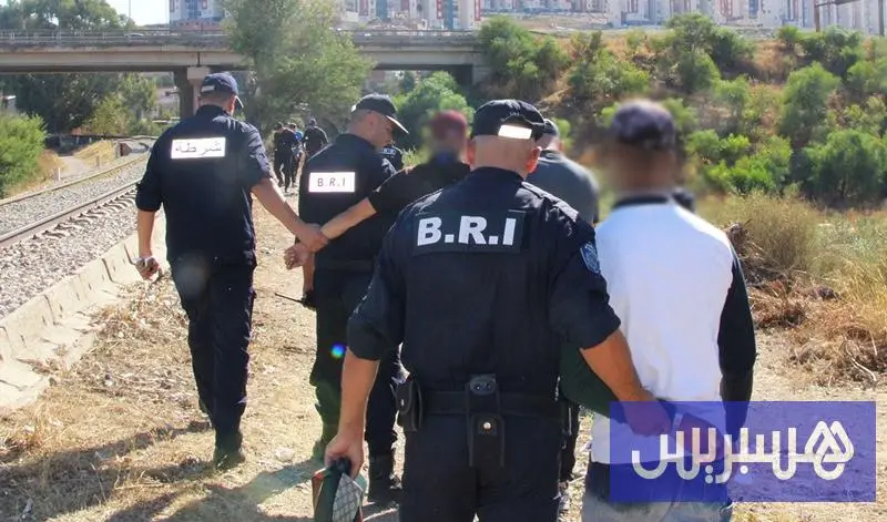 زيتوت: رواية القبض على شبكة مغربية في الجزائر "تافهة وغير منطقية"