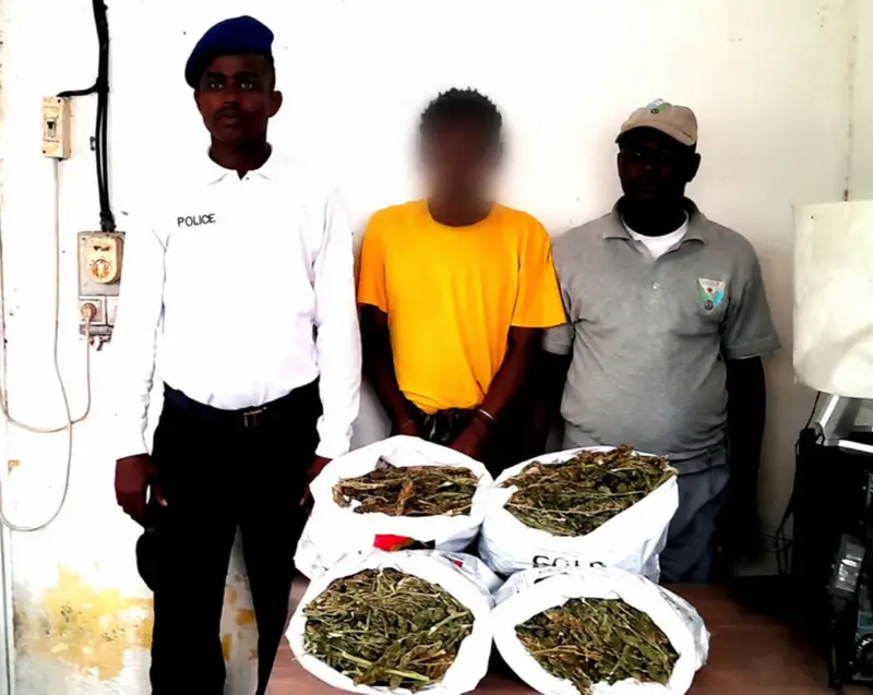 Douane : Saisie à Galafi de 4,7 kg de cannabis