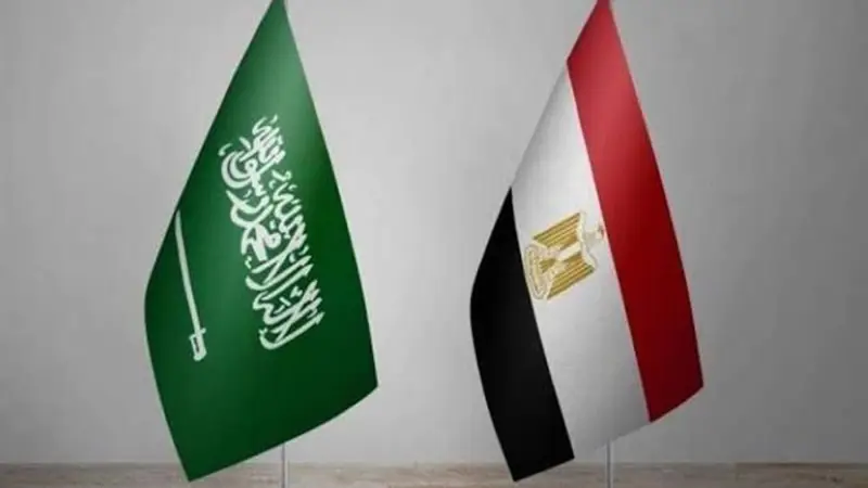 مستشار سياسي يوضح أهمية الدعم المصري للمملكة ضد الحوثيين