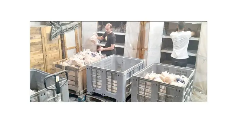المخابز الأردنية المتنقلة في قطاع غزة تنـتـج أكثـر مـــن 69 مـــلـيـون رغـــيـف