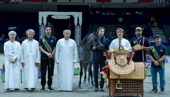 الخيالة السلطانية تحصد 3 ميداليات في دولية جمال الخيل العربية بالمغرب