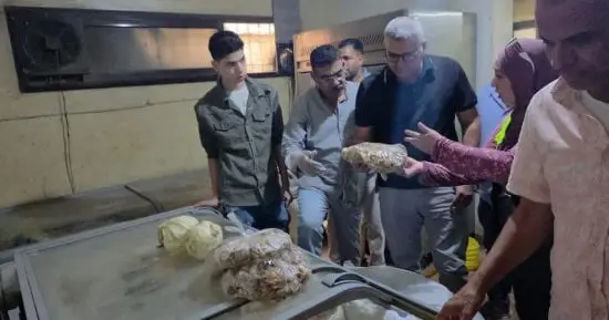 تشميع مطعم بالطالبية بعد ضبط 300 كيلو لحوم ودواجن فاسدة.. صور