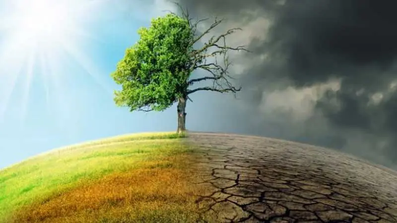 تونس تحتضن المنتدى العربي الثاني لمجابهة الكوارث واستباق التغيرات المناخية