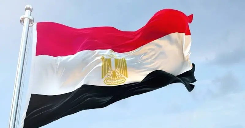 مجلس الدفاع الوطني المصري: تقديم كافة أشكال الدعم للسعودية