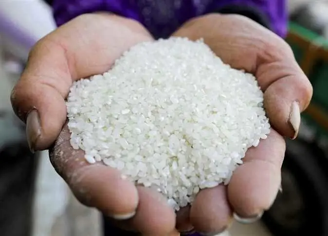 بكام الطن؟.. سعر الأرز الشعير والأبيض في أسواق الشرقية اليوم الجمعة 16 أكتوبر 2026