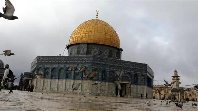 عاجل| مصدر مطلع: مصر تستدعي القائم بالأعمال الكولومبي في القاهرة للاحتجاج على افتتاح بلاده سفارتها في القدس المحتلة