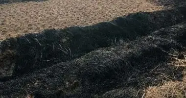 جهاز شئون البيئة يعلن السيطرة على حريق فى شونة لتخزين قش الأرز بالمنصورة