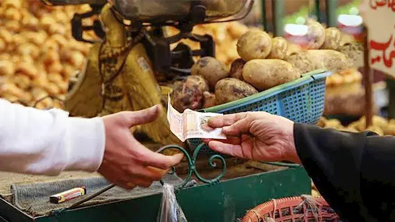 التضخم يلتهم الرواتب.. كيف تعالج الأسر المصرية "عجز الدخل الشهري"؟