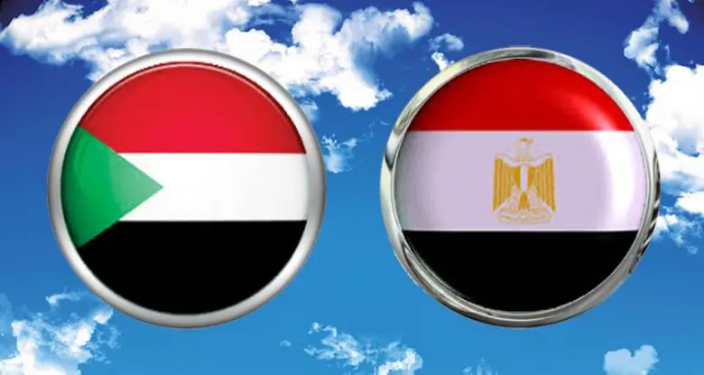 لعدم الجدية.. مصر تهاجم مجلس الأمن وتكشف تورط دولة جارة في قصف السودان بالمسيرات