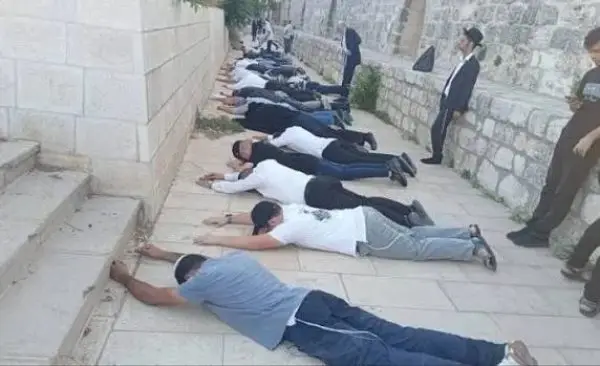 صلوات جماعية وسجود تلمودي في الأقصى وسط حماية شرطة الاحتلال