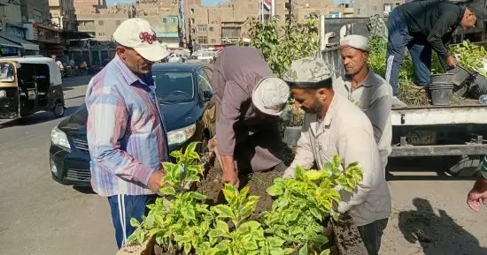 زراعة أحواض الزهور بشارع العامل الأول فى إمبابة ضمن مبادرة اتحضر للأخضر.. صور