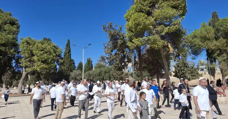 عشرات المستوطنين يقتحمون الأقصى ويؤدون طقوسًا تلمودية