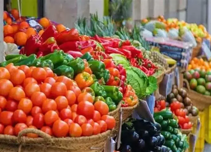 الطماطم بـ10 جنيهات.. أسعار الخضروات والفاكهة بأسواق المنيا اليوم