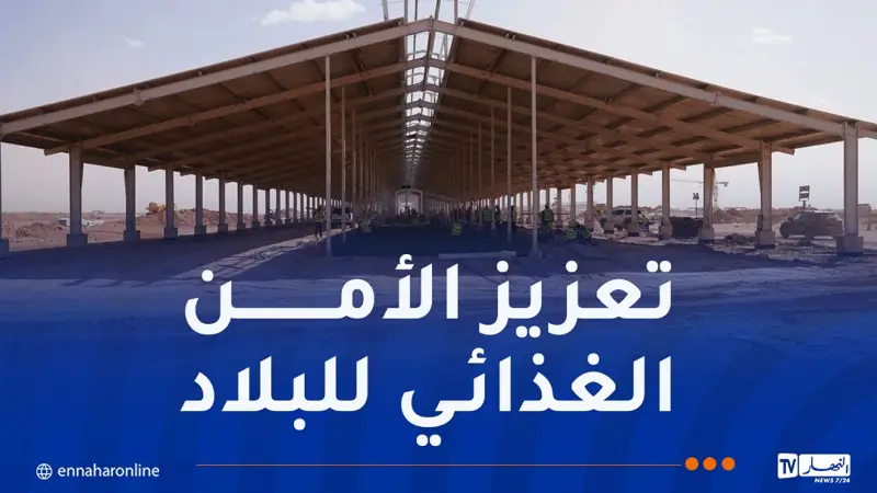 مشروع “بلدنا الجزائر”.. 35 ألف بقرة ستصل يوم 25 نوفمبر القادم