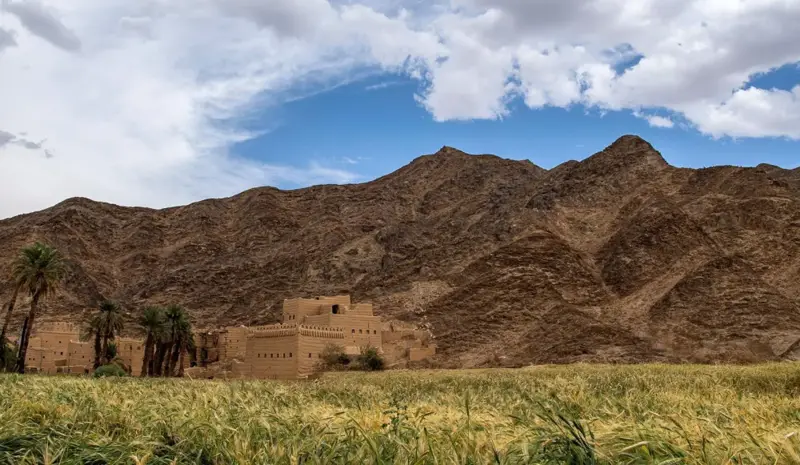 من قمم الجبال إلى السهول الخصبة.. كنوز بيئية فريدة تزين نجران