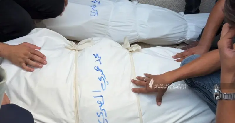 وصول 7 شهداء و24 إصابة إلى مستشفيات قطاع غزة خلال الـ 24 ساعة الماضية