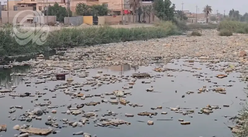 ذاكرة مائية تتحول إلى مستنقع.. الحوامد نموذج لأزمة أنهار البصرة