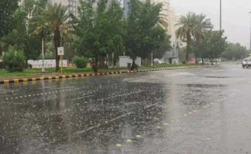 حتى 9 مساءً.. أمطار متوسطة على رهاط ومدركة بمنطقة مكة المكرمة