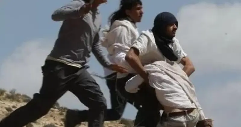 مستوطنون يهاجمون قاطفي الزيتون في بيت أمرين شمال نابلس