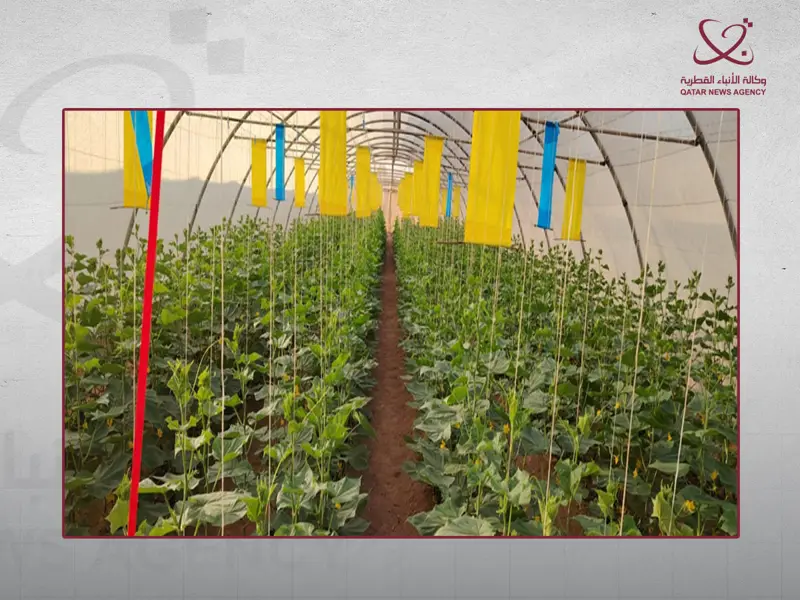 بمناسبة يوم الأغذية العالمي.. وزارة البلدية تؤكد التزامها بتعزيز الأمن الغذائي والتوسع في التقنيات المستدامة