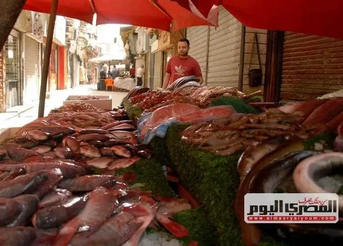 البلطي بـ78 جنيهًا.. أسعار الأسماك بسوق العبور اليوم الثلاثاء