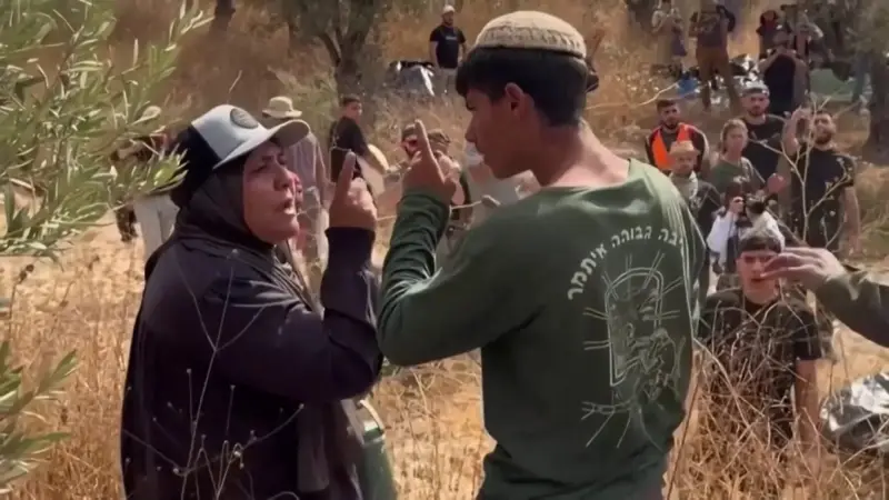 خسائر الزراعة تتجاوز مليون دولار في أسبوع.. وتضرر 2382 شجرة زيتون في الضفة