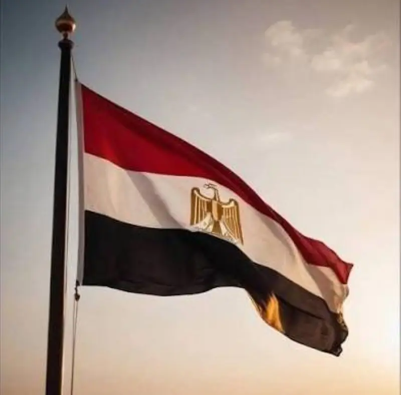 الجيش المصري يعلن مواصلة حملة لمكافحة التنقيب غير المشروع عن الذهب في الصحراء الشرقية
