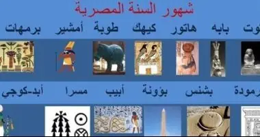 من «برمهات روح الغيط وهات» إلى «بشنس يكنس الغيط كنس».. كيف وصف الفلاح موسم الحصاد؟