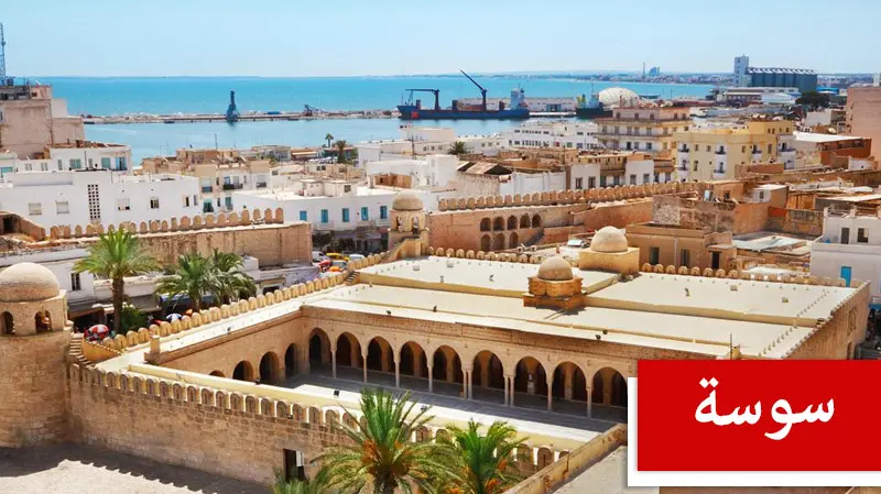 من 28 إلى 30 أكتوبر الجاري.. سوسة تحتضن المؤتمر الدولي الخامس للصحة الواحدة
