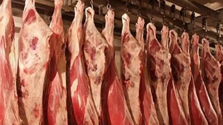 شعبة القصابين: زيادة 15% في أسعار اللحوم بسبب ارتفاع الأعلاف والدولار