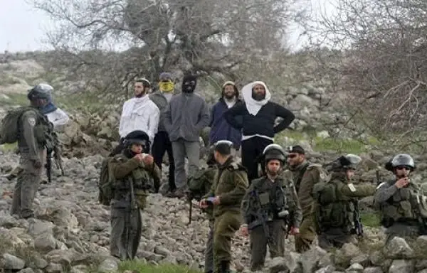 من بيت أمر إلى مسافر يطا.. اعتداءات للمستوطنين ومنع قطف الزيتون في الخليل