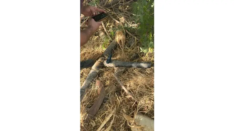 ضبط 11 اعتداءً على المياه في الشونة الجنوبية لتزويد شاليهات ومزارع وتعبئة خزانات