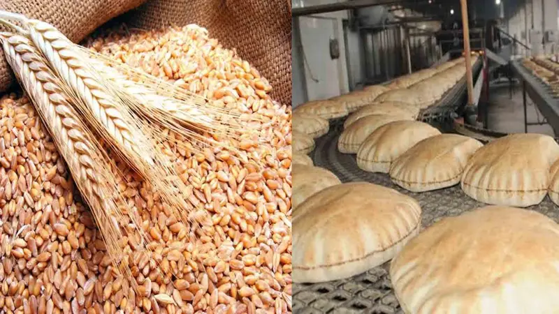 دعم الخبز والقمح 600 مليون دولار للصناعة.. ورهان على 600 ألف طن تخزين إضافي