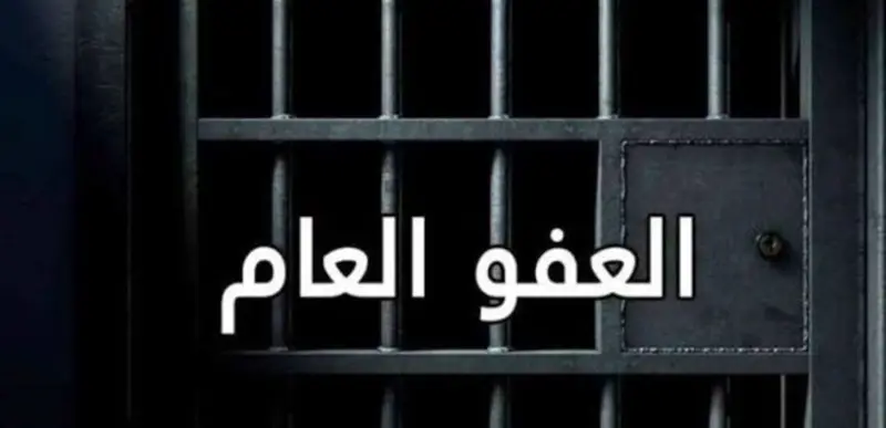 المجلس الدستوري يُبطل جزئياً مواد من قانون العفو