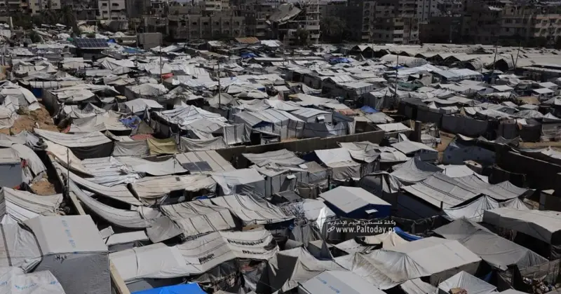 نازحو رفح يطالبون بتحسين الظروف المعيشية وتكثيف جهود الإغاثة